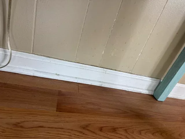 Baseboards wiped clean along every wall