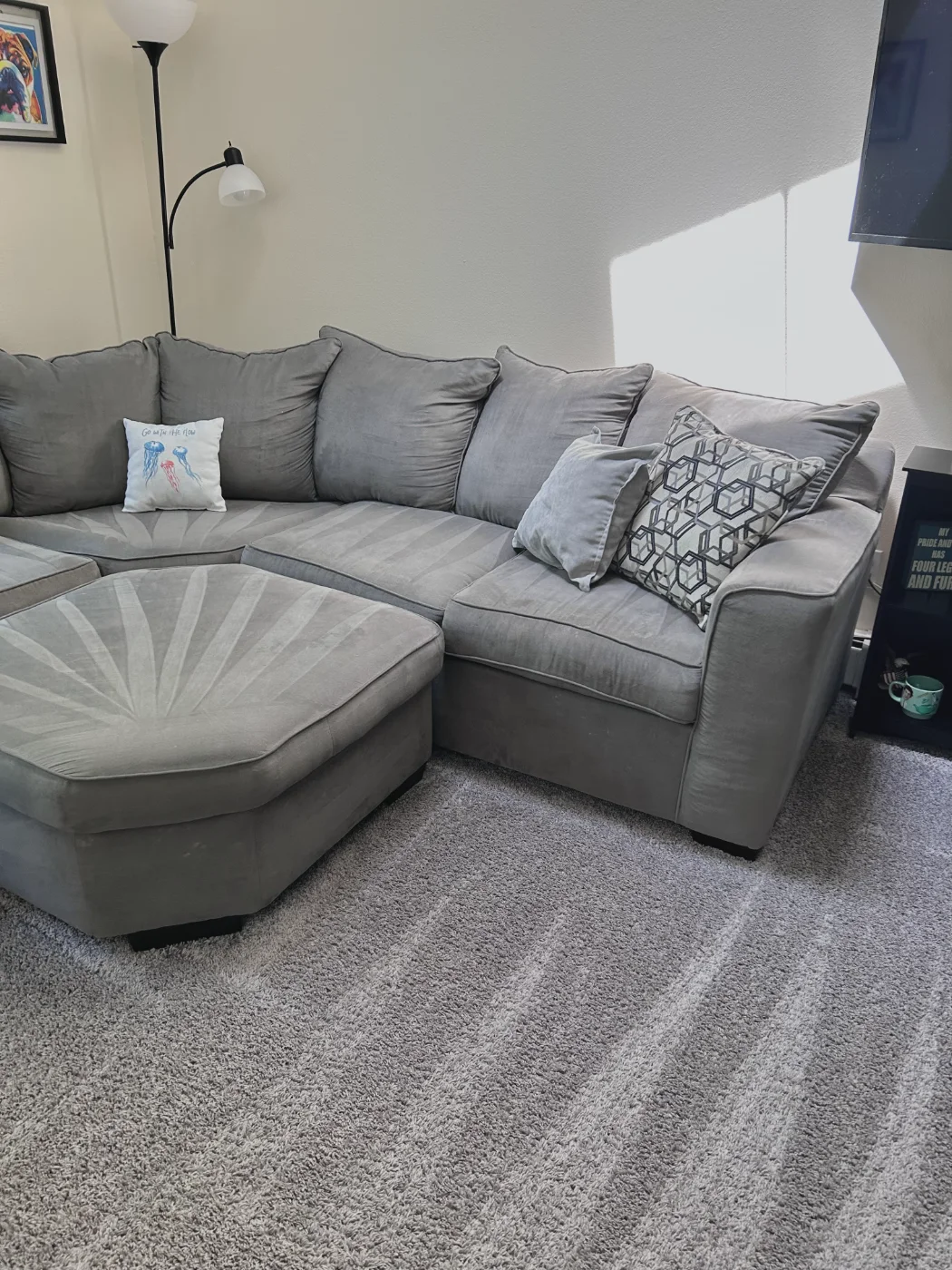 Living room vacuumed, from the sofa to the carpet