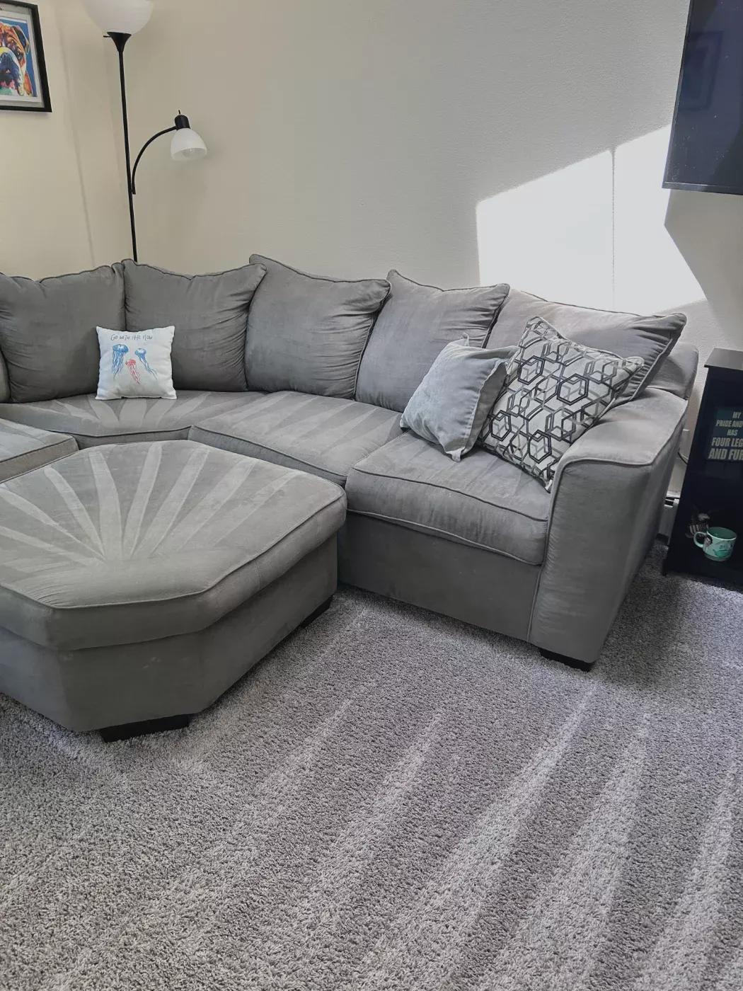 Living room vacuumed, from the sofa to the carpet